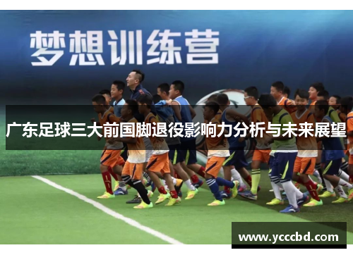 广东足球三大前国脚退役影响力分析与未来展望