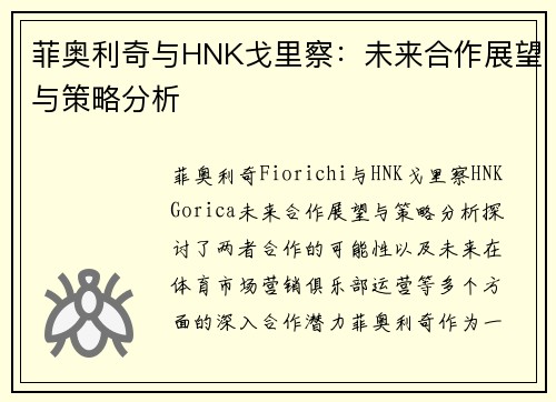 菲奥利奇与HNK戈里察：未来合作展望与策略分析